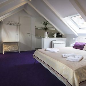 Deluxe Studio Apartment